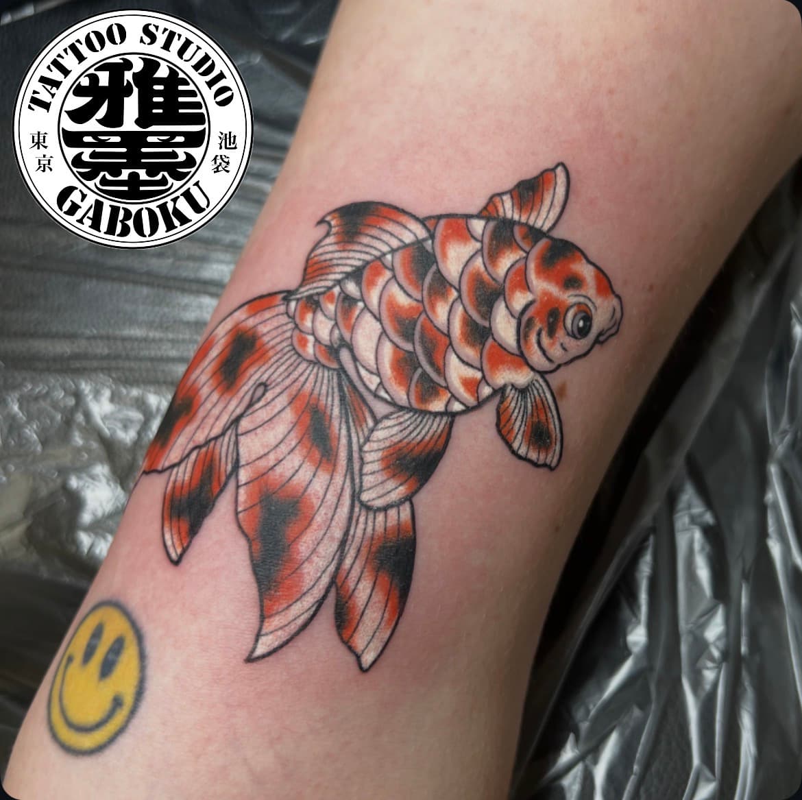 錦金魚